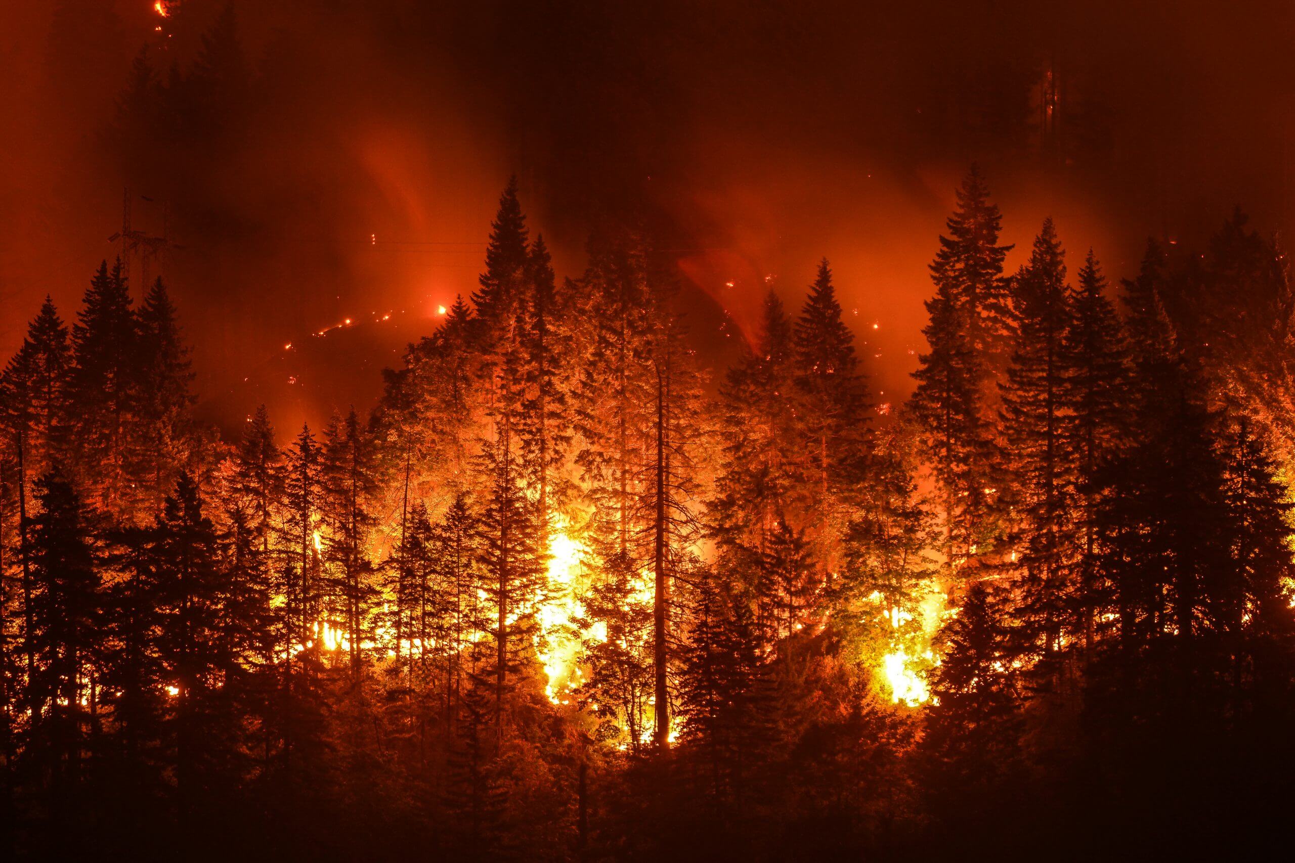 Environmental Factors: What about Wildfires?
